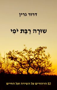 שירה רבת יופי