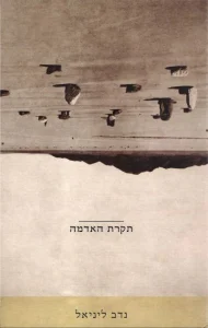 תקרת האדמה
