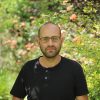 ארז הקר ארז הקר